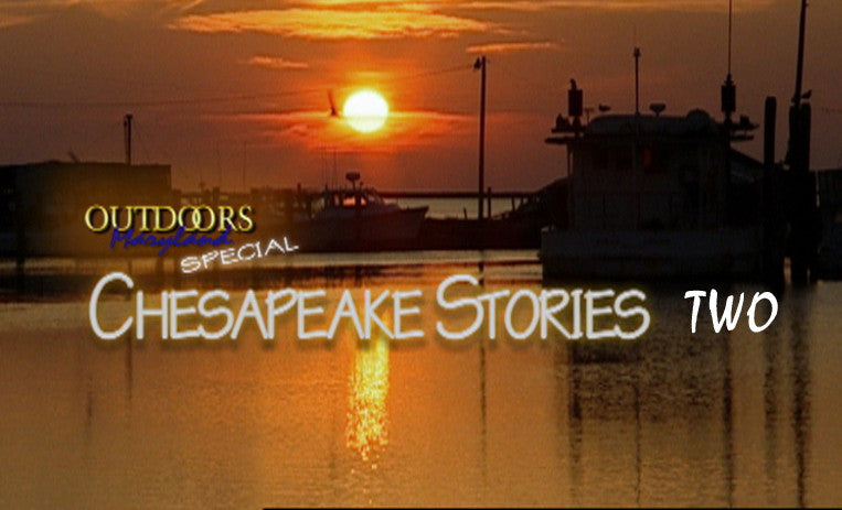 Chesapeake Stories II (2011)
