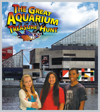 The Great Aquarium Treasure Hunt DVD